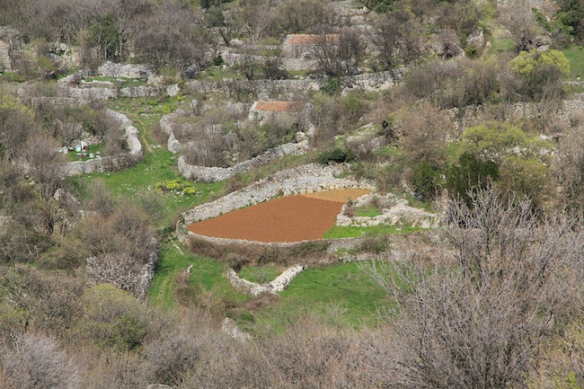 lubenice 1