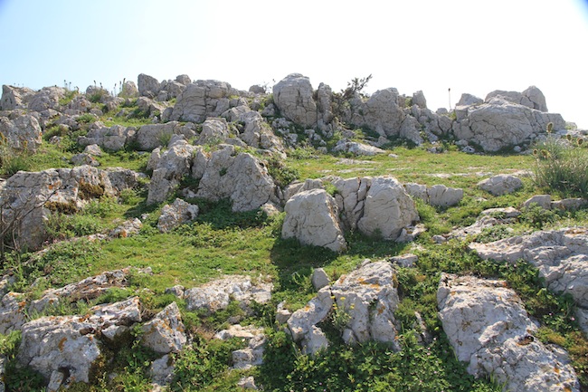lubenice 1
